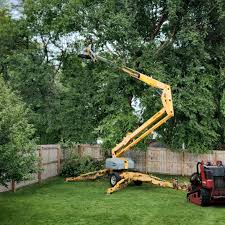 Artificial Turf Installation in Kingstree, SC